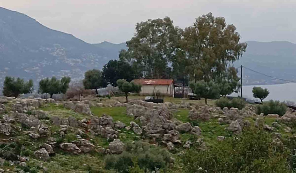 Ο Βασίλης, ο τελευταίος βοσκός δίπλα στην Καλαμάτα, και μια ζωή που αρνήθηκε να αλλάξει