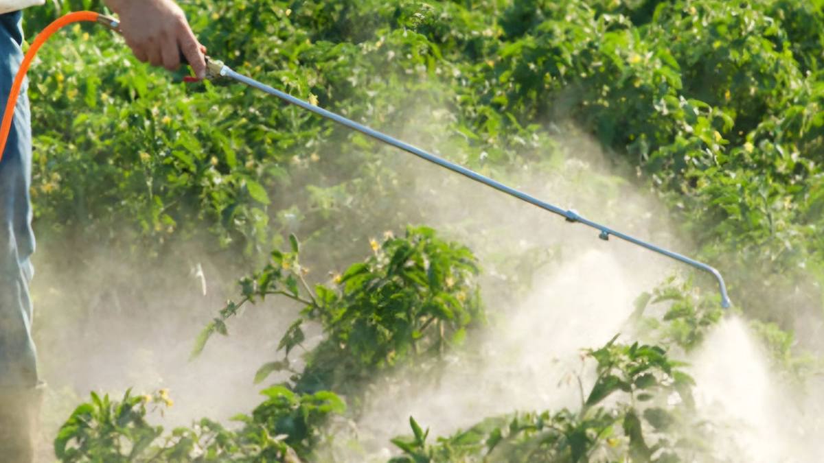 Μεσσηνία: Μέτρα και υποχρεώσεις για τη χρήση ζιζανιοκτόνων σε καλλιέργειες και αγροτικές εκτάσεις