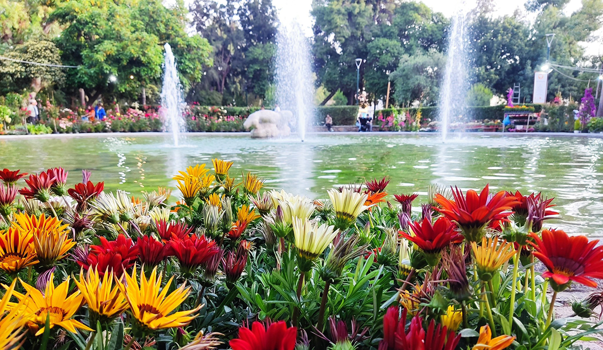 «Ανθίζει» ξανά η Καλαμάτα