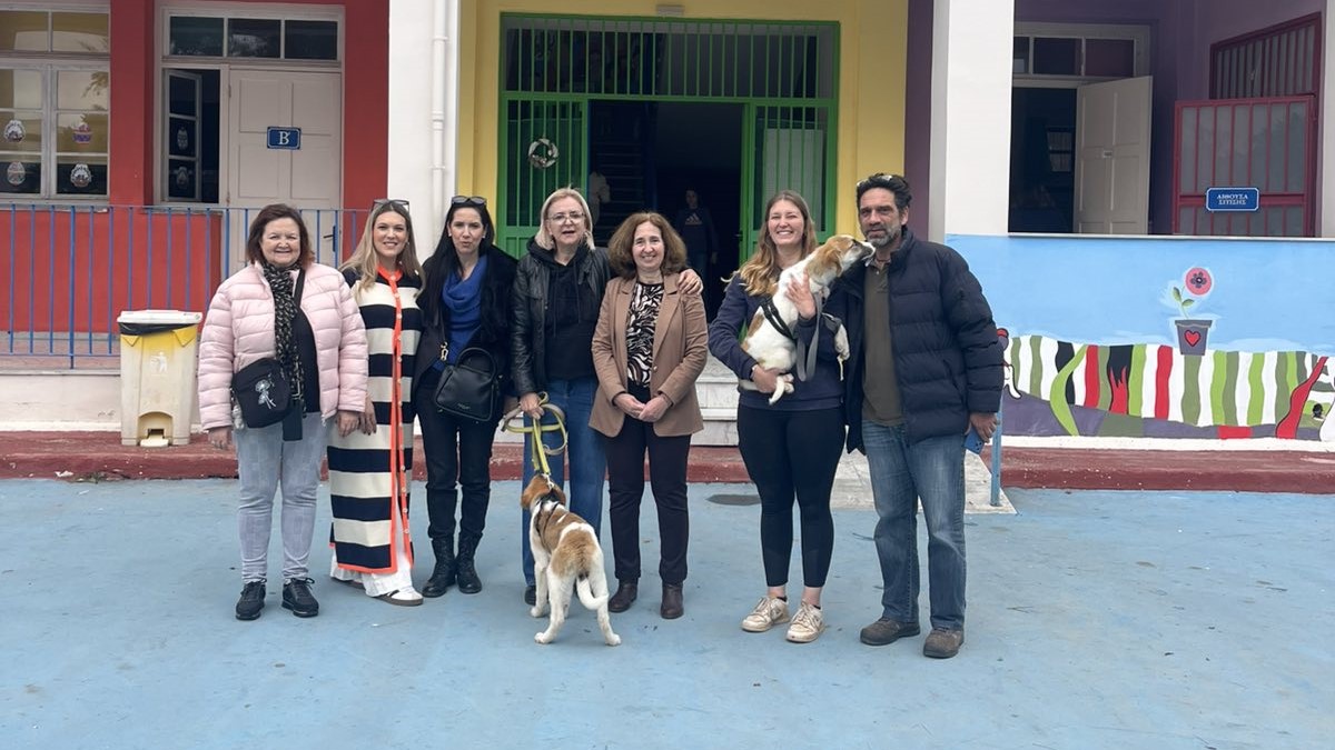 Τολό: Μάθημα ενσυναίσθησης για τα αδέσποτα