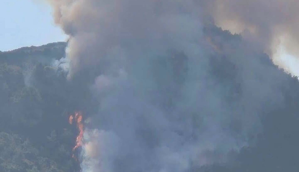 Αχαΐα: Συναγερμός για μεγάλη πυρκαγιά στην Άμπελο