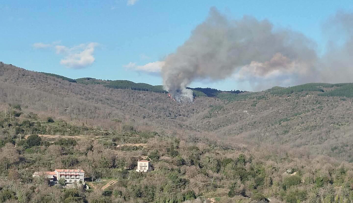Λακωνία: Φωτιά τώρα σε δασική έκταση στον Πάρνωνα