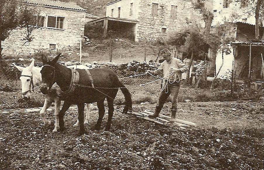 Σπύρος Κ. Καραμούντζος