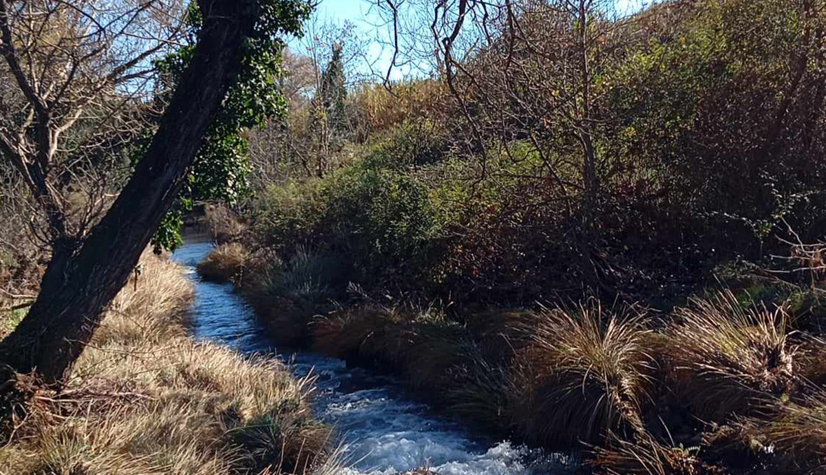 Πλατανόβρυση: Το χωριό που ξαναγράφει το μέλλον της υπαίθρου