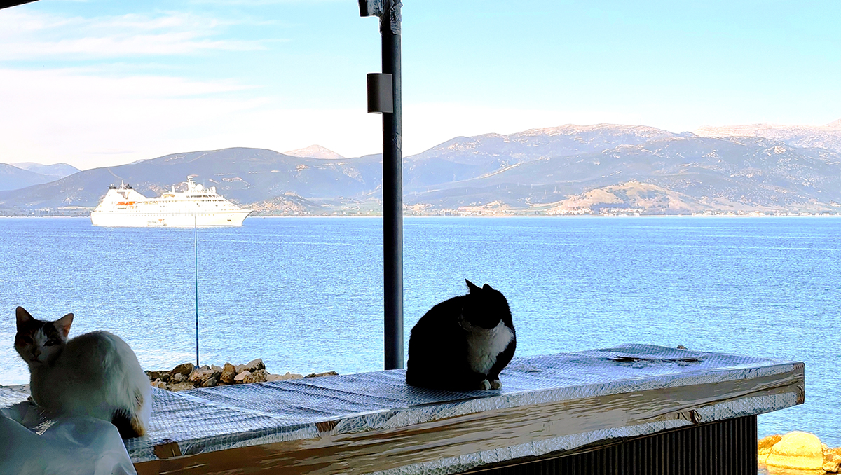 Ναύπλιο: Μαγνήτισε τα βλέμματα το «πλωτό παλάτι» Star Legend