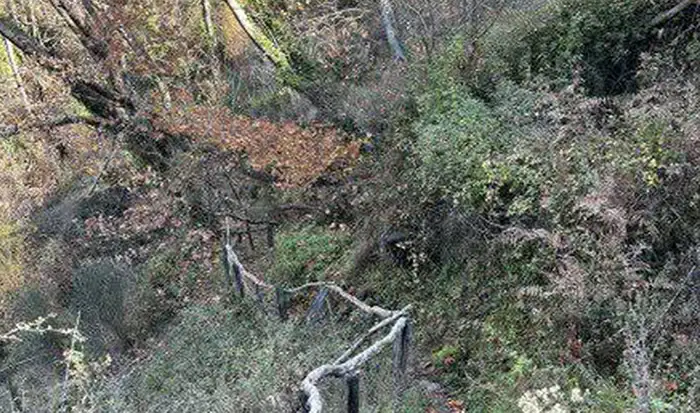 Αποδράσεις στον Μεσσηνιακό Ταΰγετο