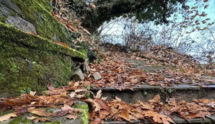 Αποδράσεις στον Μεσσηνιακό Ταΰγετο