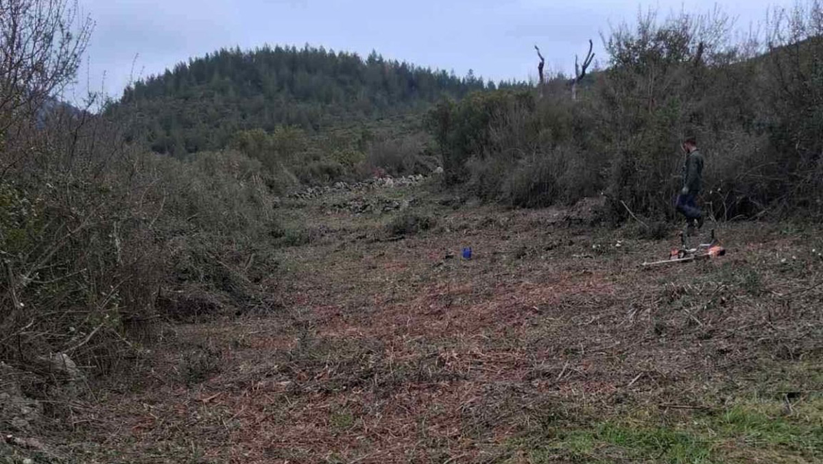 Τρίπολη: «Ασπίδα» 183.000 ευρώ απέναντι στις πυρκαγιές