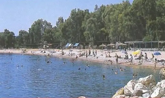 Άγιος Ανδρέας Μεσσηνίας