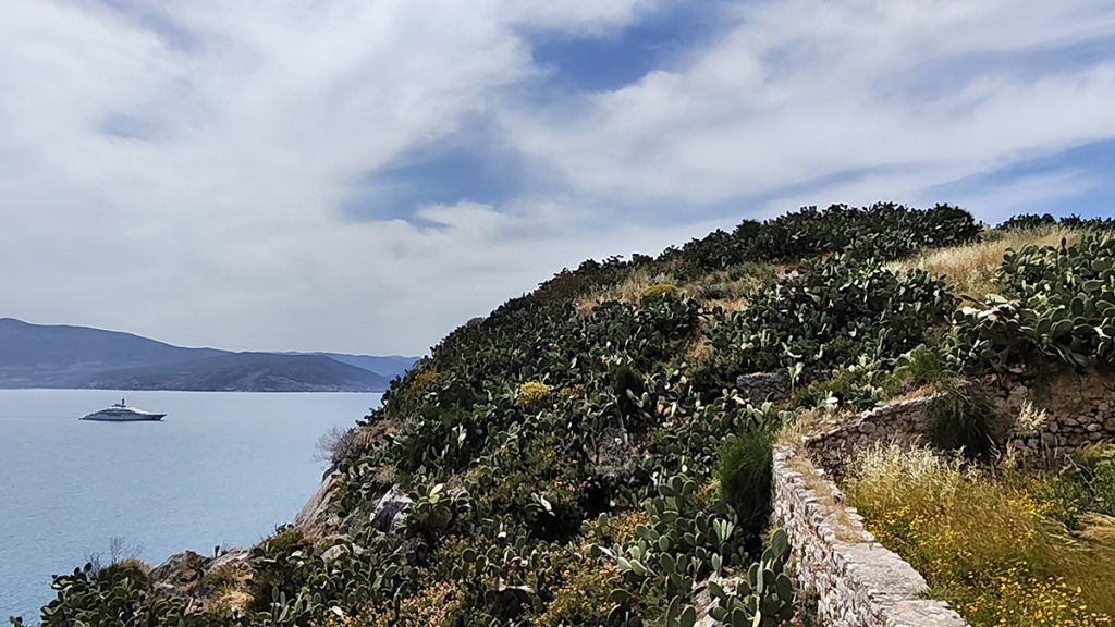 Χορτάρια στην Ακροναυπλία