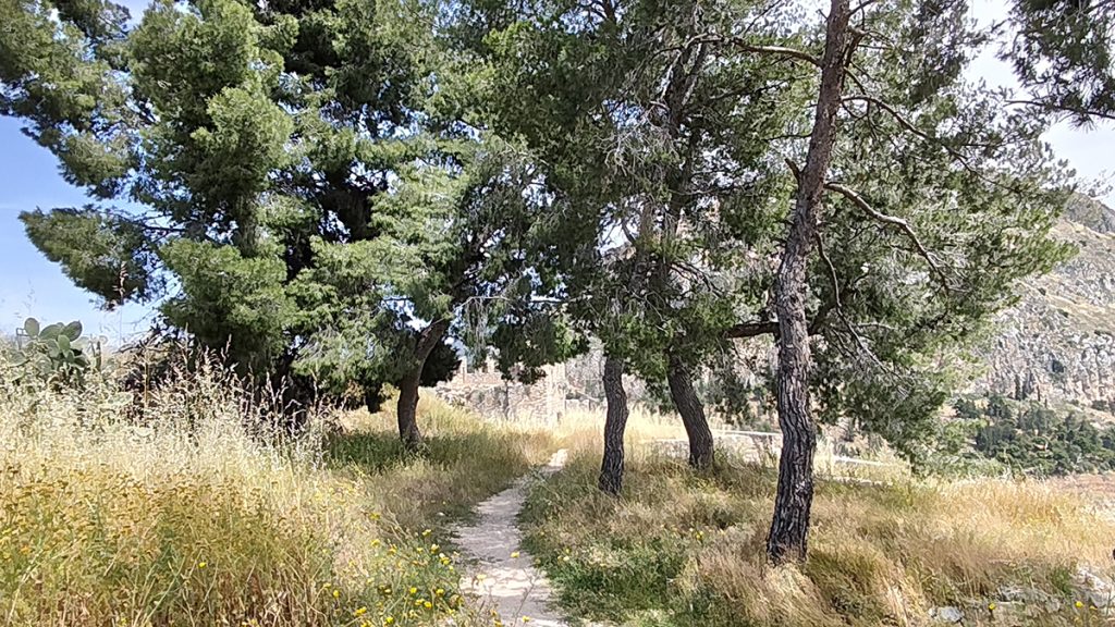 Χορτάρια στην Ακροναυπλία