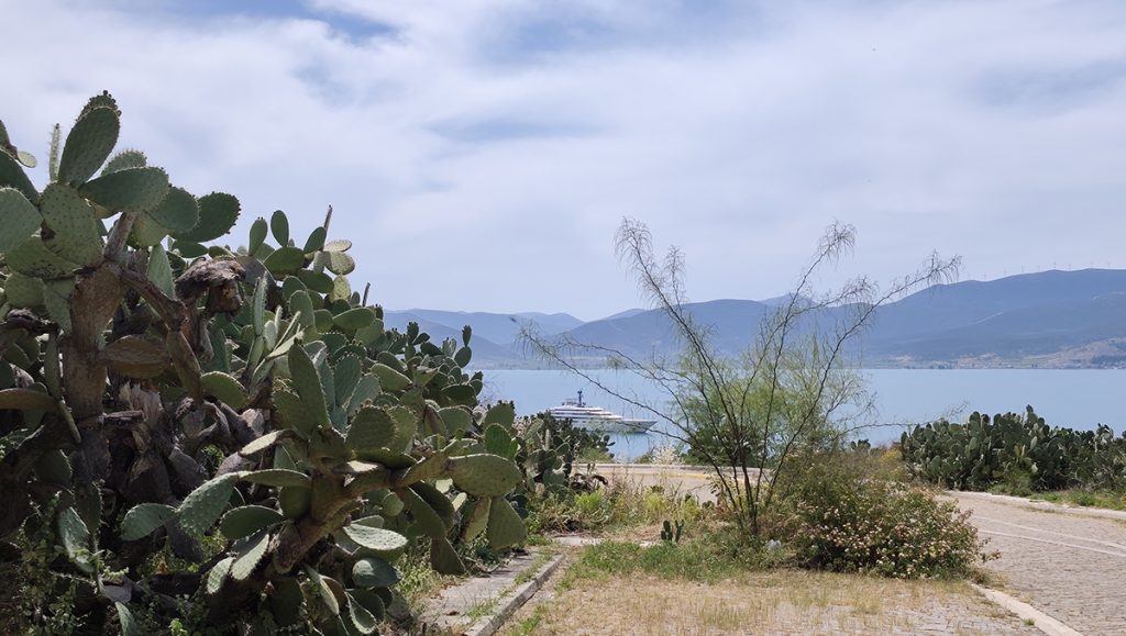 Χορτάρια στην Ακροναυπλία