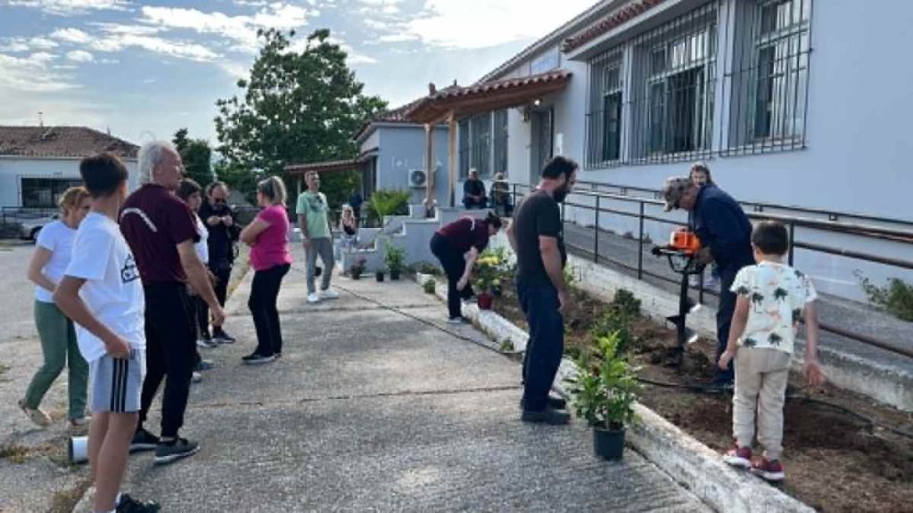 Αργολικό δεντροφύτευση