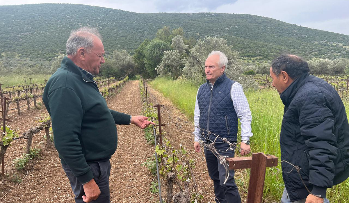 Αργολίδα: Τι είδε ο Ανδριανός σε Αλέα, Γυμνό και Σκοτεινή μετά τον παγετό