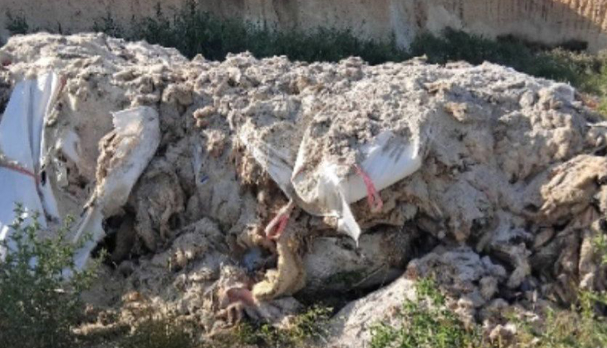Κορινθία: Κίνδυνος για τη δημόσια υγεία από παράνομα ζωικά απόβλητα στον Άσσο
