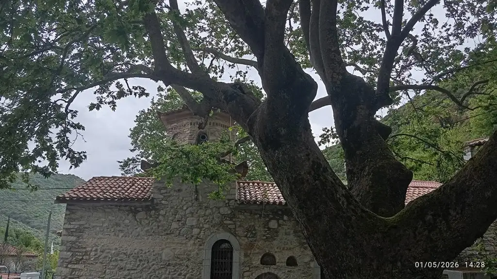 Καρυοβούνι Μάνης