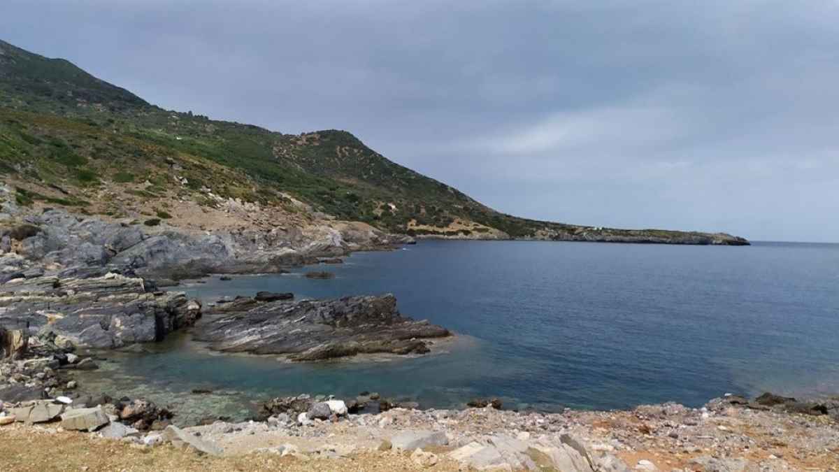 Πελοπόννησος: Διεθνές καταφύγιο πουλιών σε Ακρίτα και Μαλέα