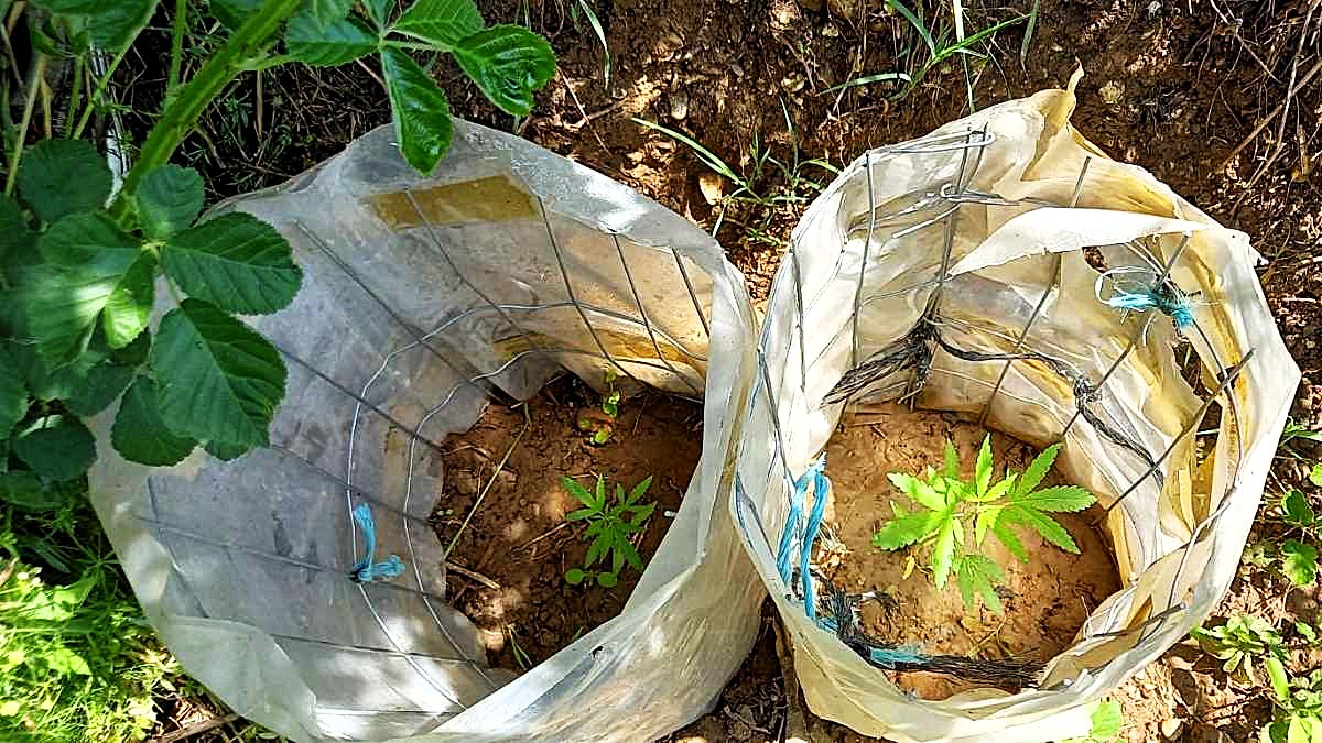 35 συλλήψεις, 55 προσαγωγές και έλεγχοι σε 661 άτομα