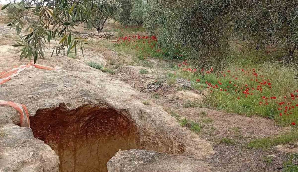 Μυκηναϊκό νεκροταφείο