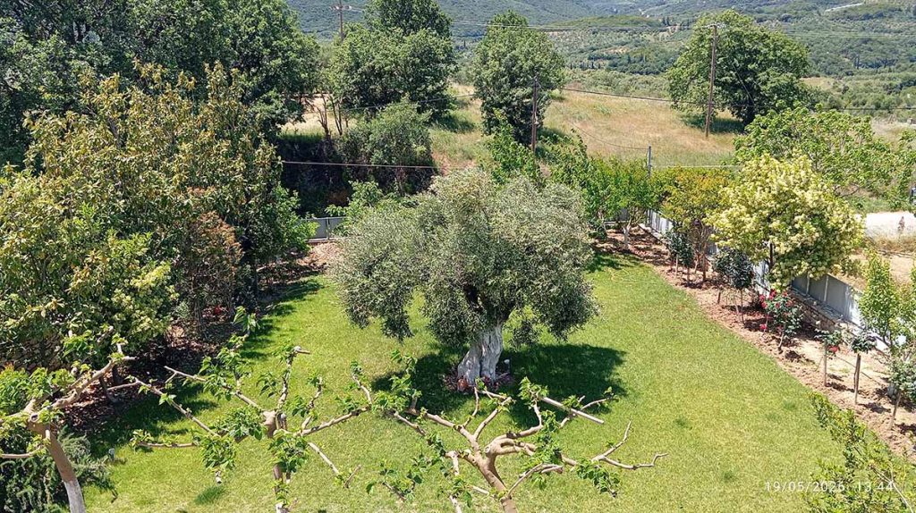Πλατανόβρυση Μεσσήνης
