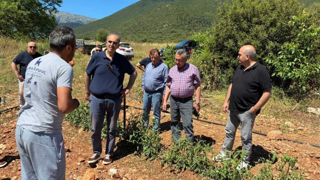 Αυτοψία Σκοτεινή Σιδέρης ΕΛΓΑ