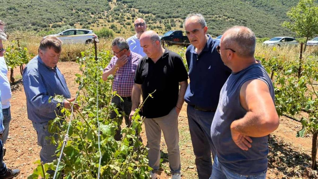 Αυτοψία Σκοτεινή Σιδέρης ΕΛΓΑ