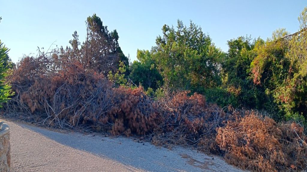 Φερτά υλικά στην Ερμιονίδα