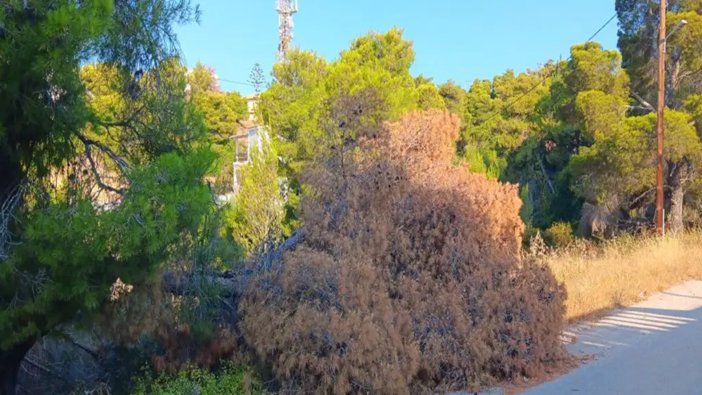Φερτά υλικά στην Ερμιονίδα