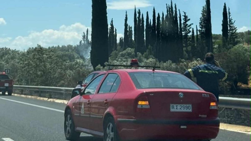 Φωτιά Άγιο Βασίλειο