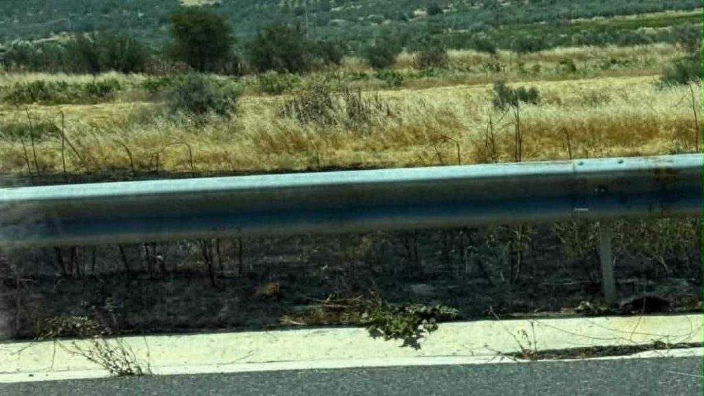 Φωτιά Άγιο Βασίλειο