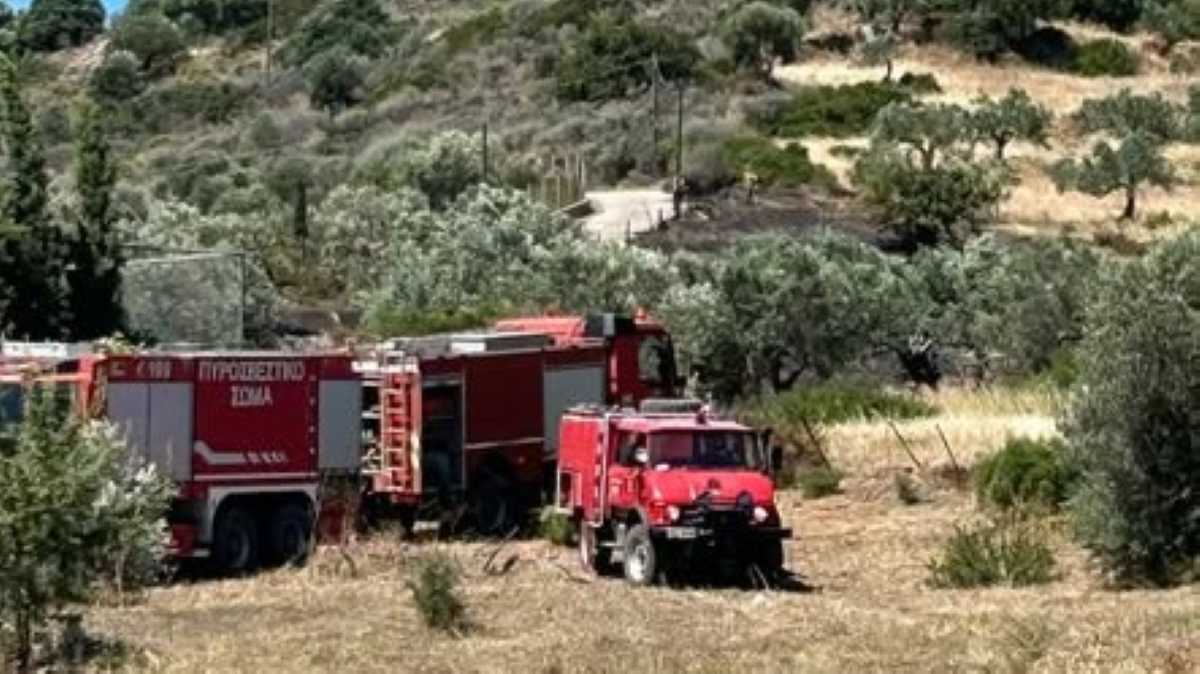 Ερμιονίδα: Άμεση επέμβαση σε φωτιά στην Κουβέρτα