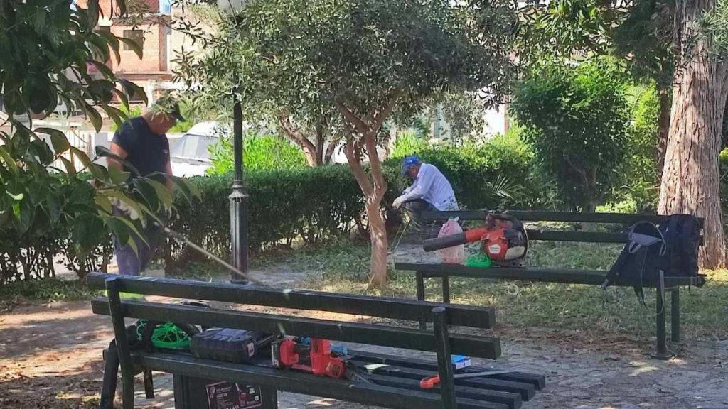 Καθαριότητα Άργος