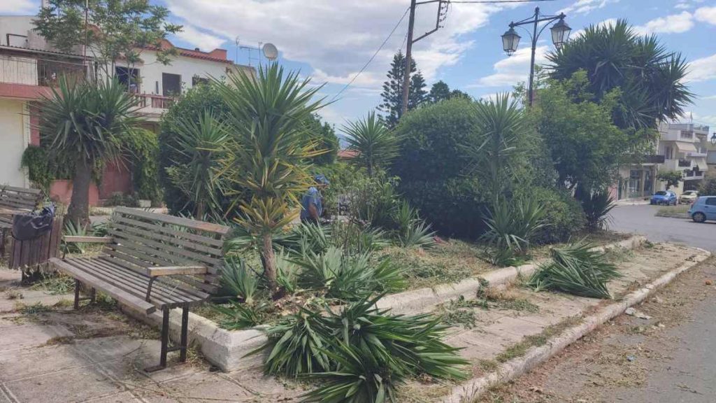 Καθαρισμοί Άργος
