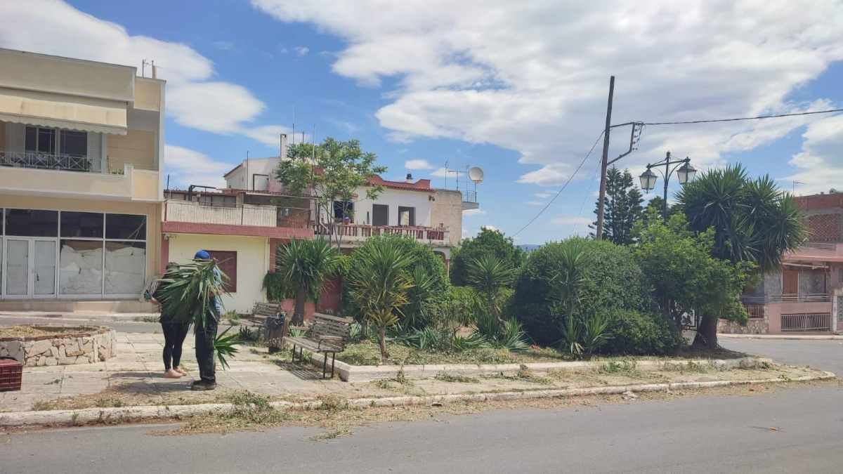 Άργος: Καθημερινοί καθαρισμοί για την αντιπυρική περίοδο
