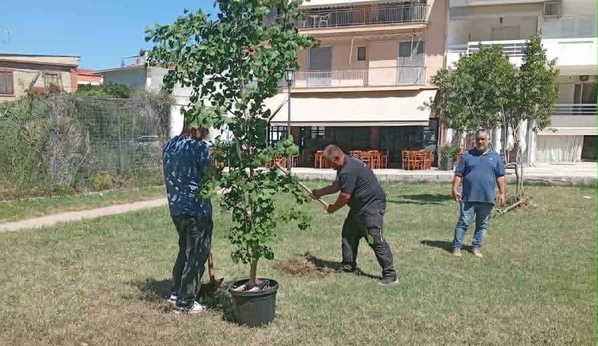 Ναύπλιο: Πρόσκοποι και Δήμος μαζί για το περιβάλλον