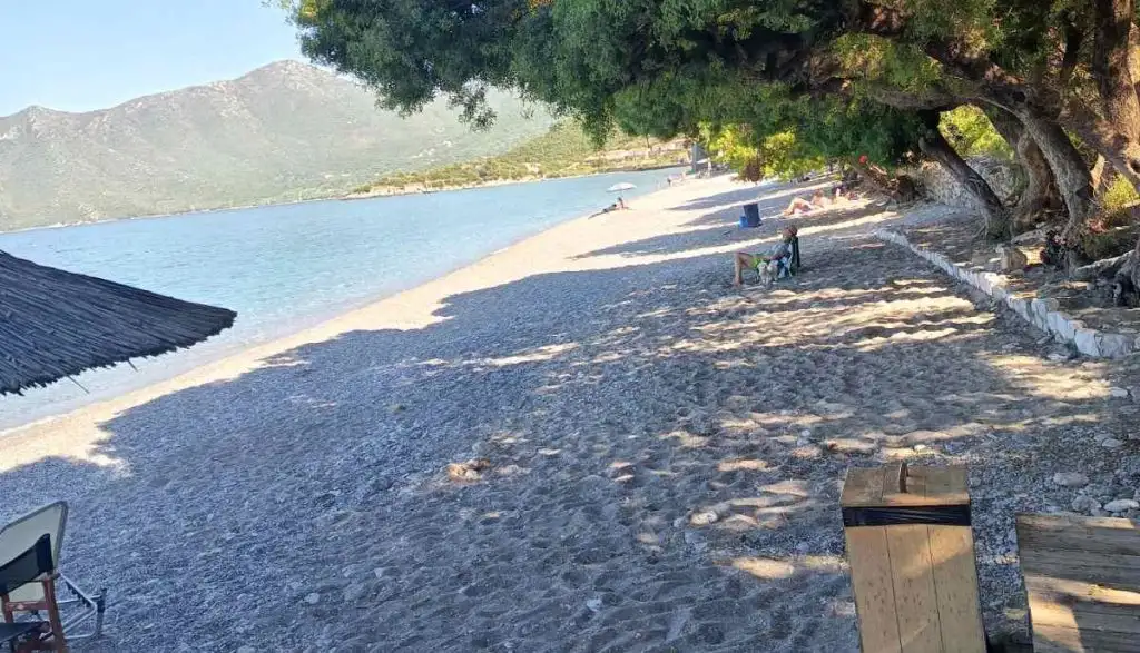 Πούλιθρα Κυνουρίας