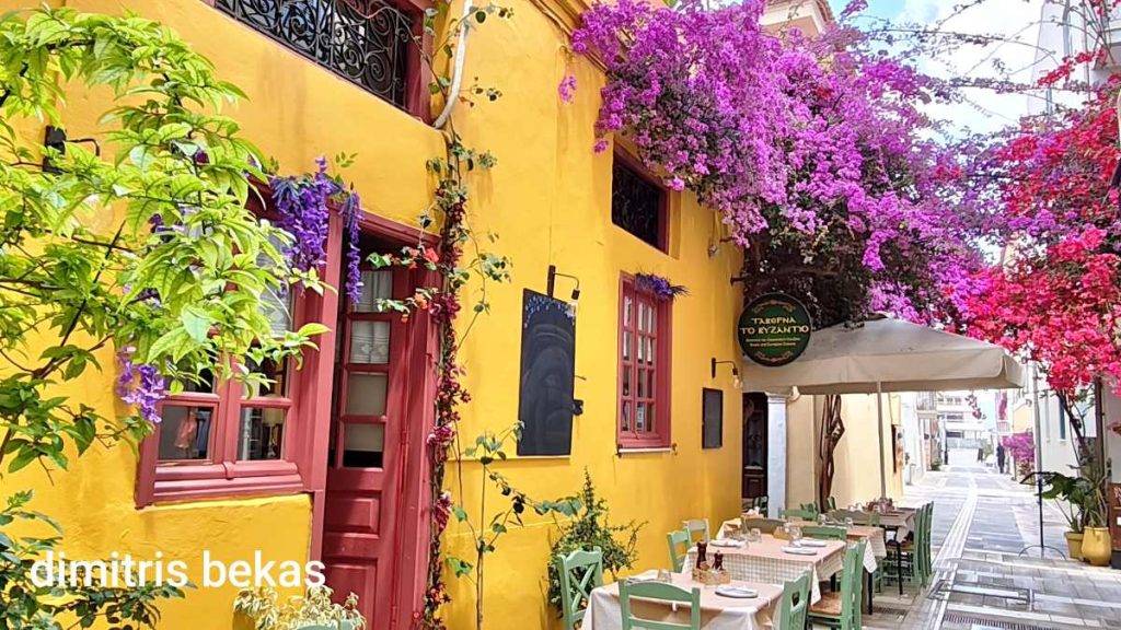 Βοκαμβίλιες Ναύπλιο