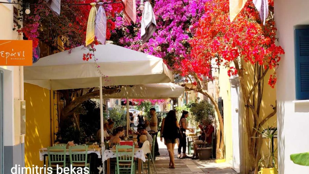 Βοκαμβίλιες Ναύπλιο