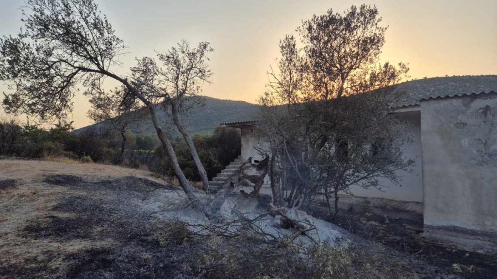 Καμμένα στρέμματα στο Αδάμι