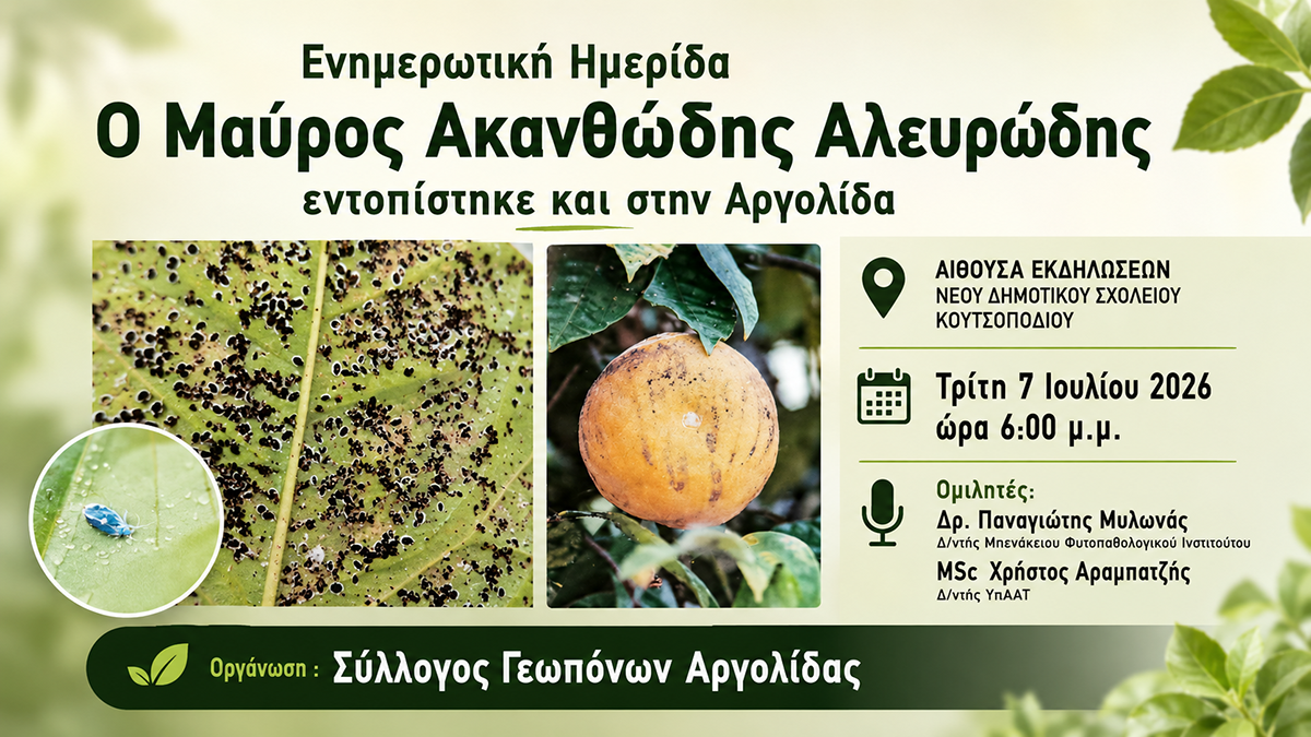 Παραγωγοί της Αργολίδας ενημερώνονται για τον εχθρό των εσπεριδοειδών