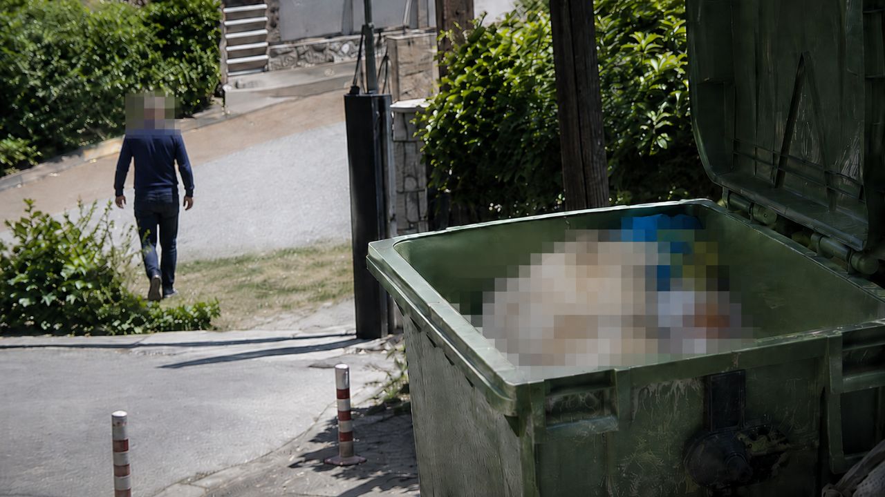 Άστρος: Νεκρός σκύλος με σύρμα στο λαιμό πετάχτηκε σε κάδο – Προσοχή σκληρές εικόνες