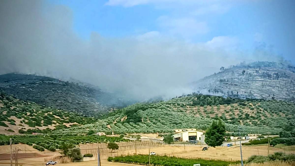 Σπαθοβούνι Κορινθίας: Βελτιωμένη η εικόνα της πυρκαγιάς – Σε επιφυλακή οι δυνάμεις