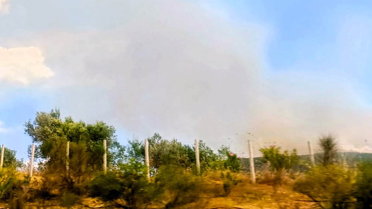 Συναγερμός στο Σπαθοβούνι Κορινθίας – Μήνυμα 112 για τη μεγάλη φωτιά