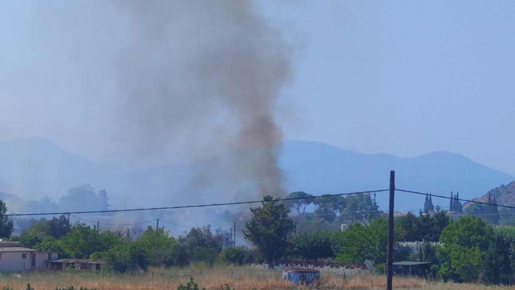 Φωτιά στην Άρεια Ναυπλίου