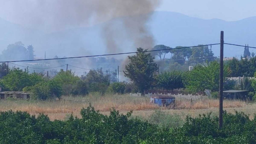 Φωτιά στην Άρεια Ναυπλίου