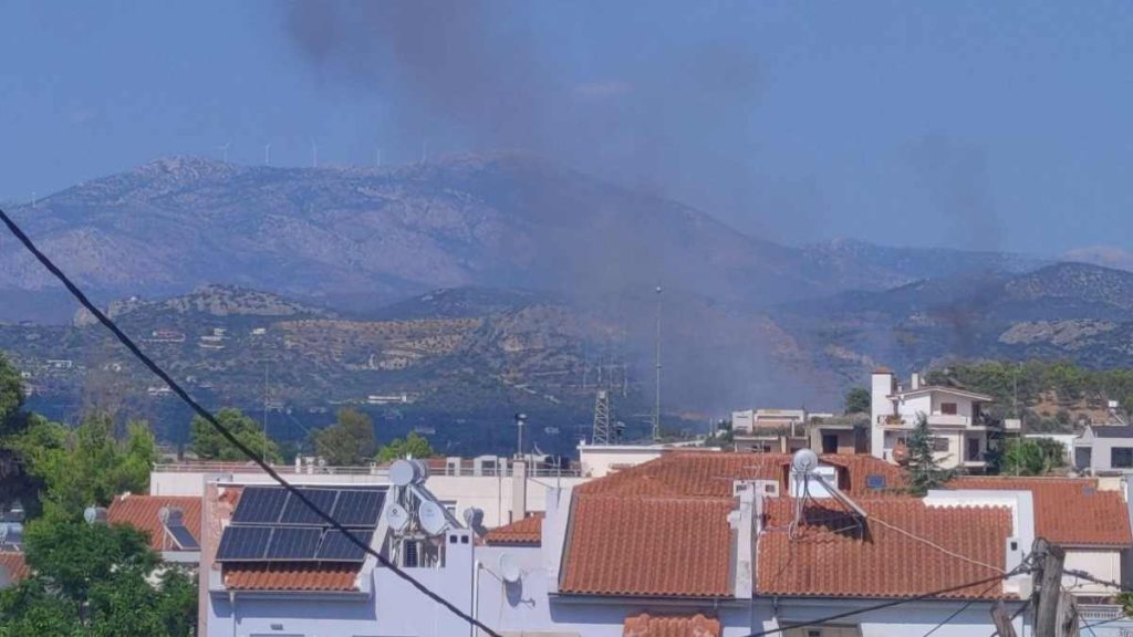 Φωτιά στην Άρεια Ναυπλίου