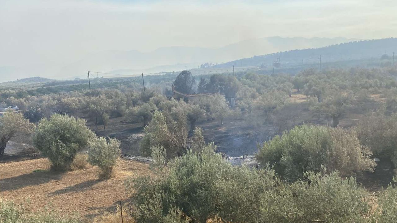 Φωτιά στα Φίχτια: Καμένες αυλές και ελιές – Χωρίς νερό οι κάτοικοι