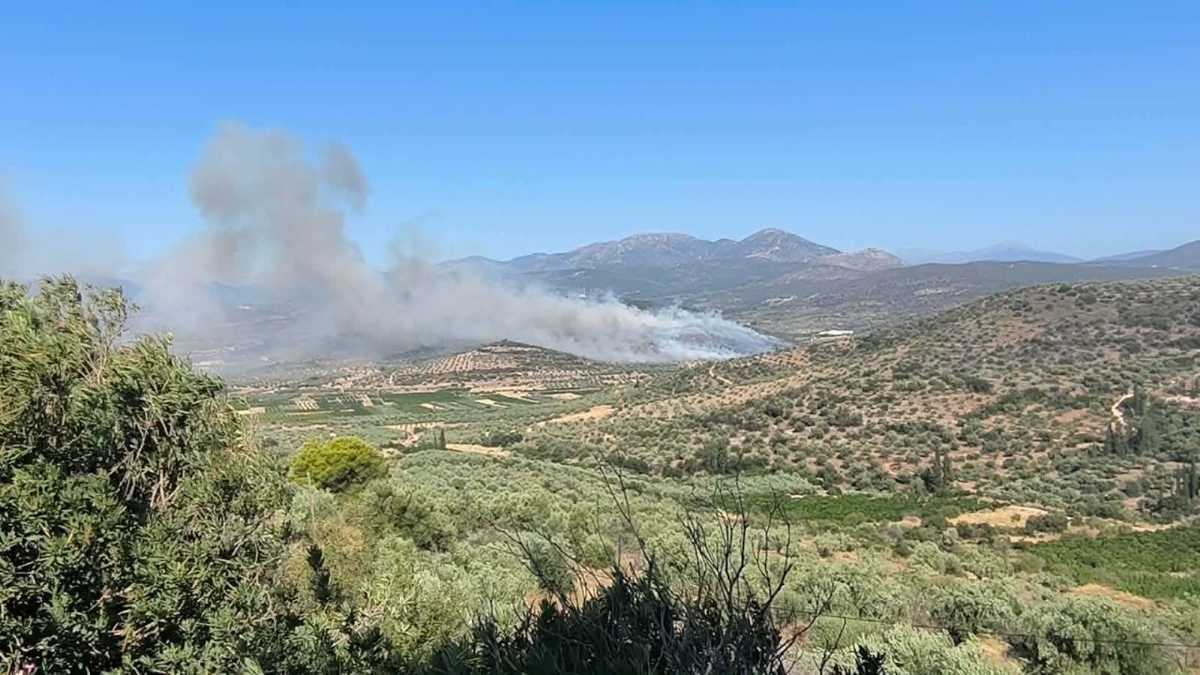 Μπήκε στα σπίτια η φωτιά