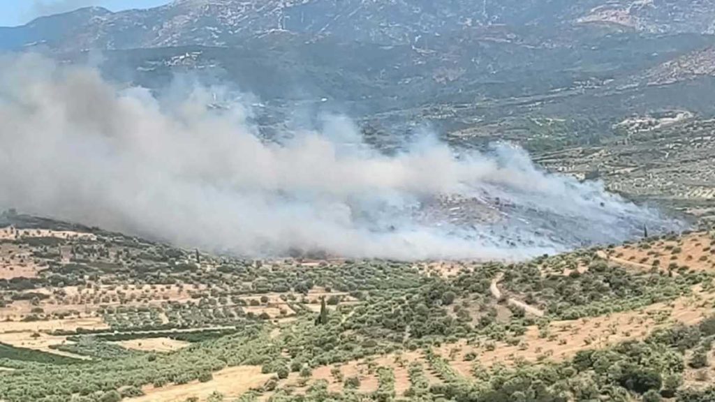 Φωτιά Φίχτια