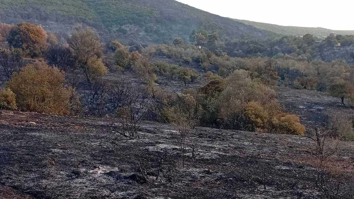 Η πυρκαγιά έκαψε 500 στρέμματα στο Αδάμι Επιδαύρου